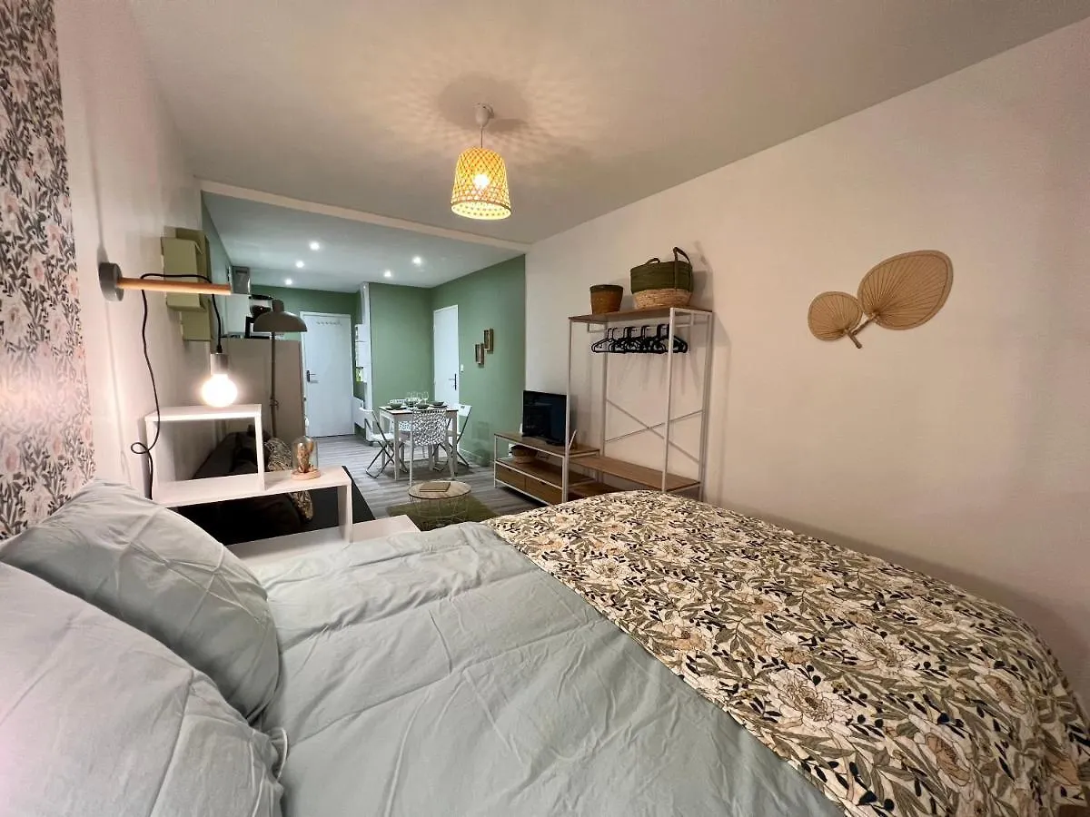 L'Oliveraie Brioude Apartment